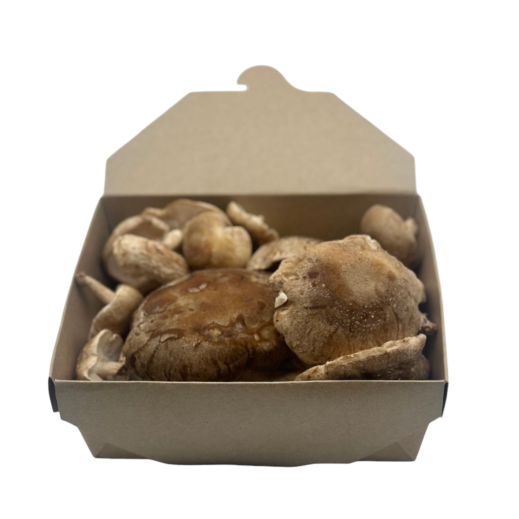 Shiitake mushrooms in sustainable container 