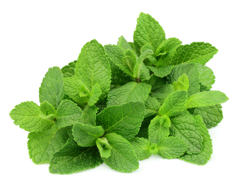 Mint (20g) – Nearly Naked Veg