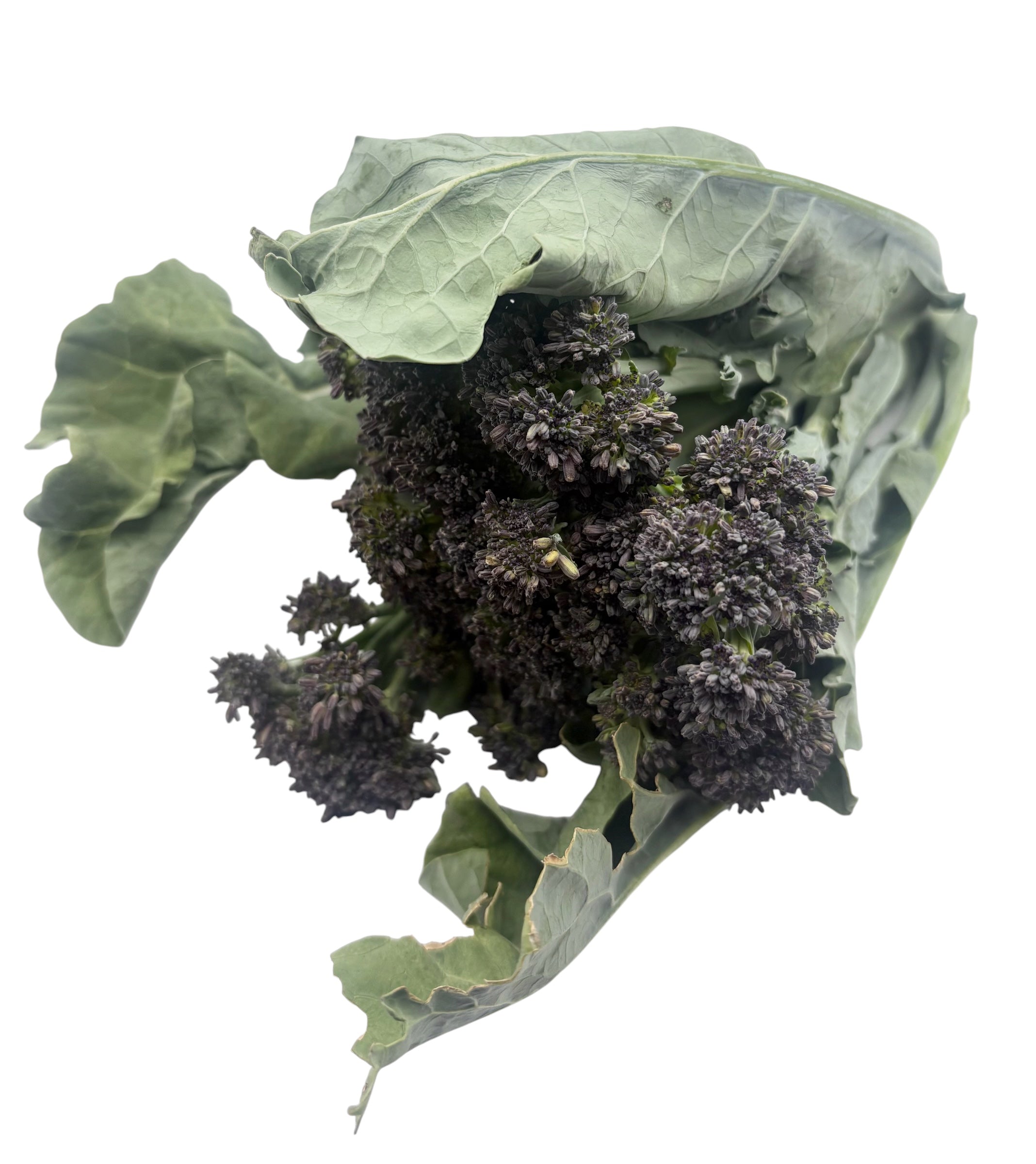 Purple Sprouting Broccoli (200g)