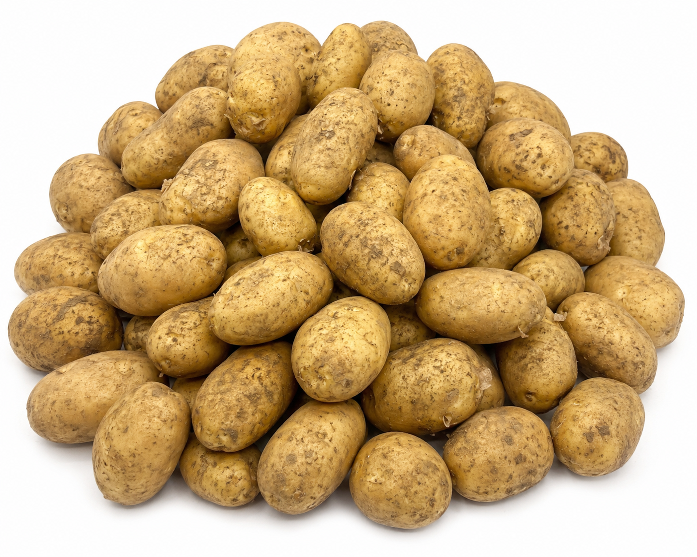 Cornish Sagitta Season Potatoes