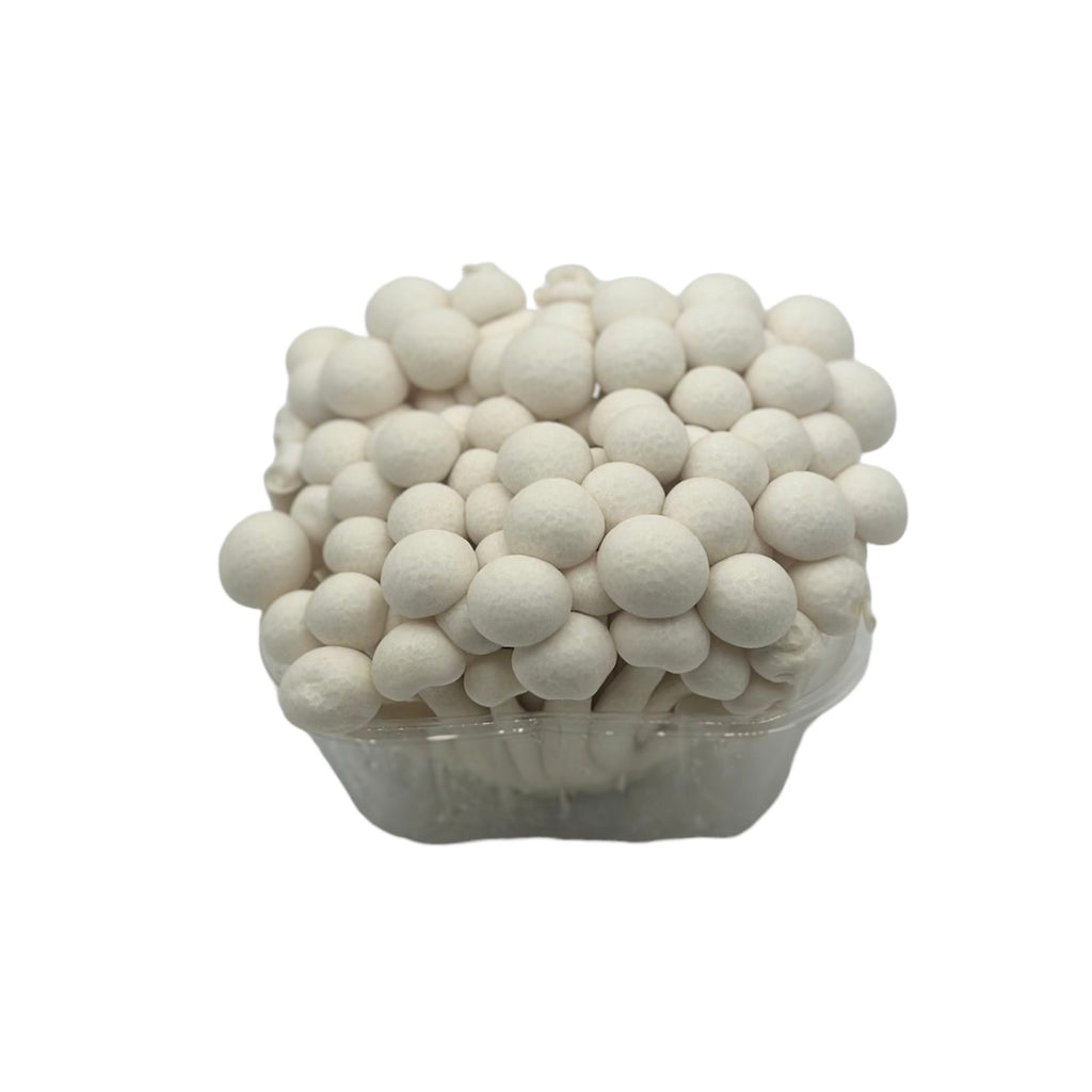 White Hon Shimeji mushrooms in tub