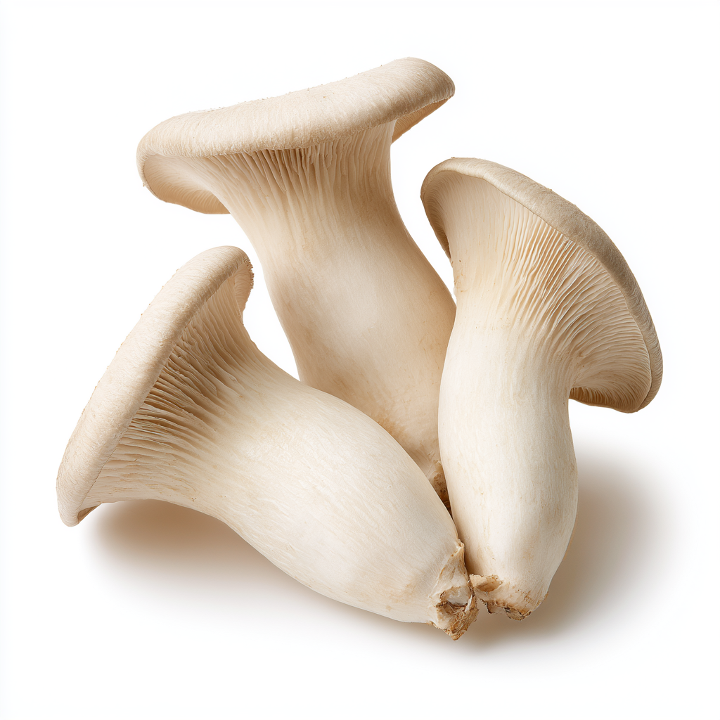 King Oyster Mushroom (250g)