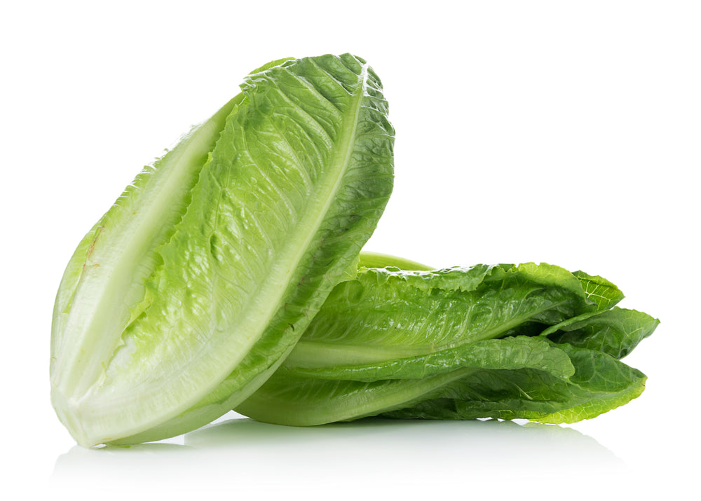 Cos Lettuce