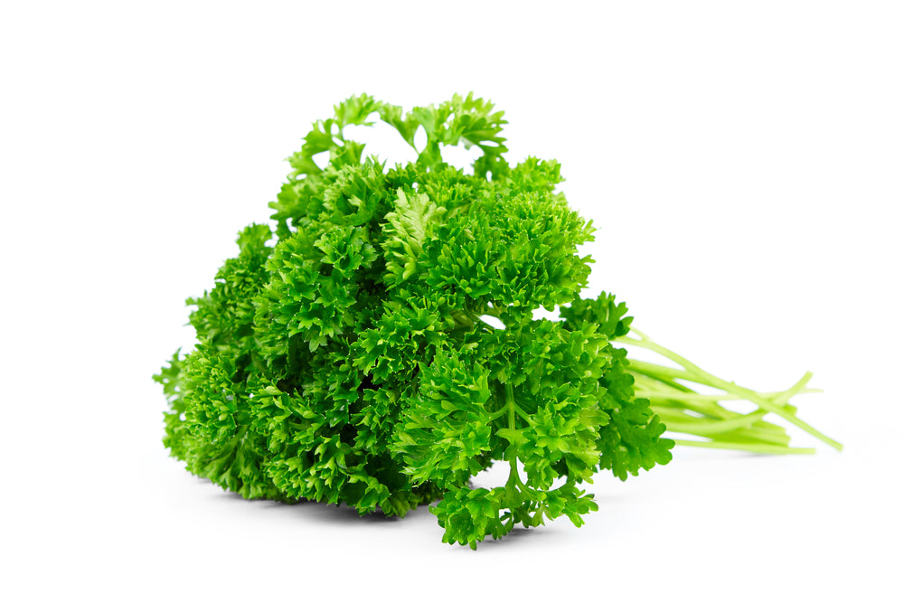 Curly Parsley Bunch