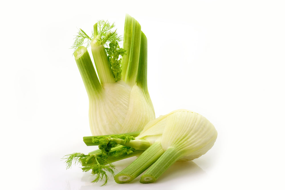 Fennel
