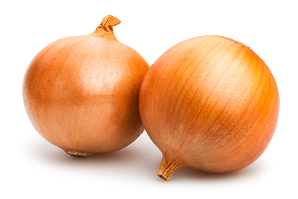 Large Onion