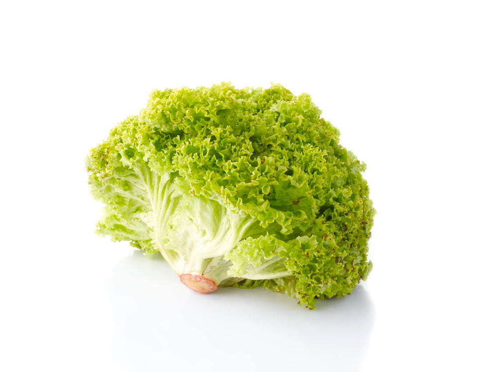 Lollo Bionda Lettuce