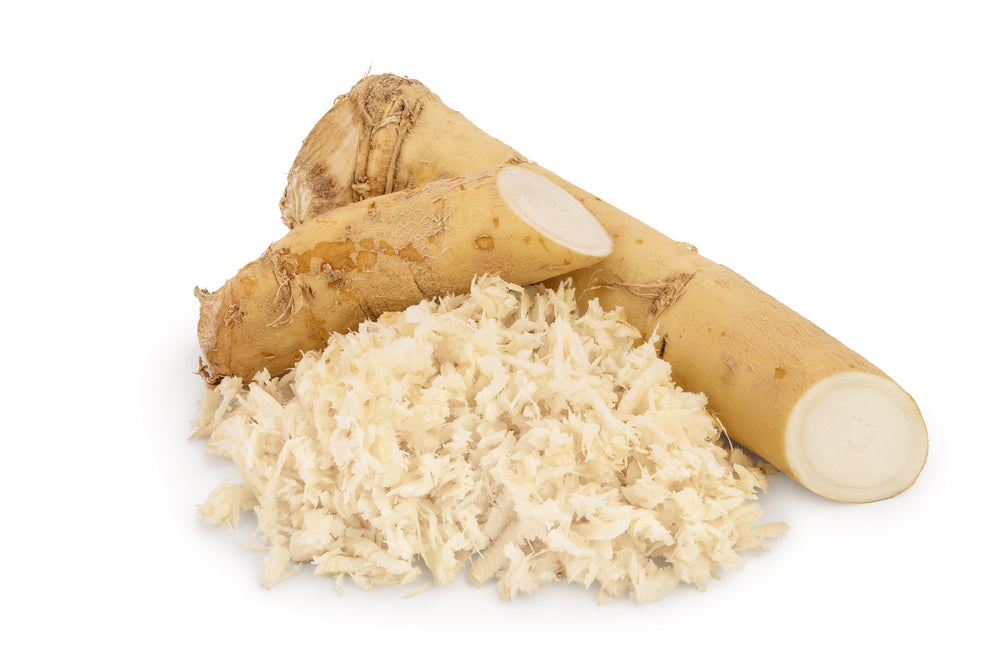 Large Horseradish Root