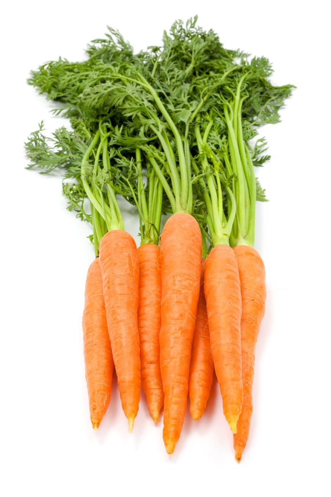 Bunched Carrots